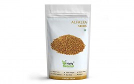 Holy Natural Alfalfa Seeds   Pack  100 grams